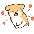 강아지