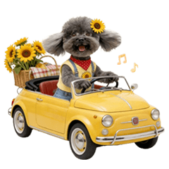 黑貴賓lulu-好用休假用語篇