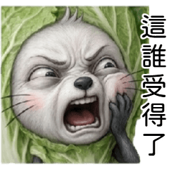 崩潰小白鼠：我真的快不行