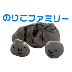 OSORA_20260206190834