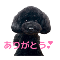 Nasuko_20260208132823