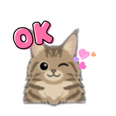 Kazumi_20260208205632