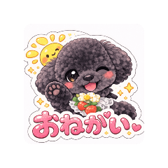 kananori_20260209064237