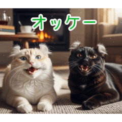 PAKAMOGOLY_20260209073934