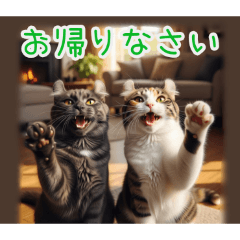 PAKAMOGOLY_20260209074223