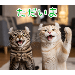 PAKAMOGOLY_20260209074139