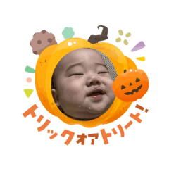 takachi_20260208134957