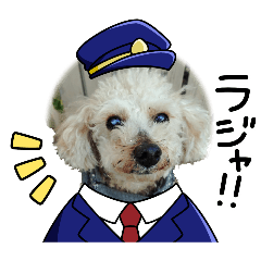 momuko_20260208135118