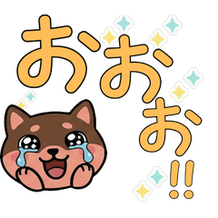 Polite Round Face Chimpanzee 23