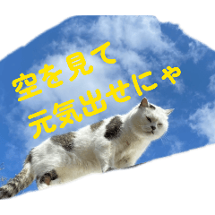 nyanpoo_20260209140539