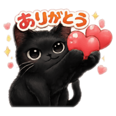 sora mi_20260208135134