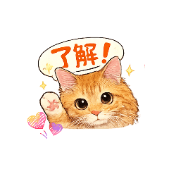 Mofuneko Studio_20260208231455