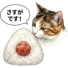 肯定貓與極品飯糰：寫實水彩與日常敬語