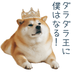 Shiba Inu with no motivation