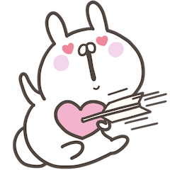 USAGIsan Pretty PACK