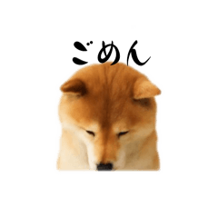 rei_20260209135203