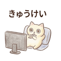 Polite Calico Cat Daily