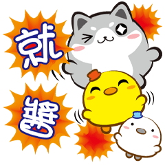 《胖胖喵心情貼》就醬