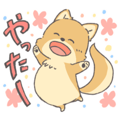 Mochitsuki_20260207233740