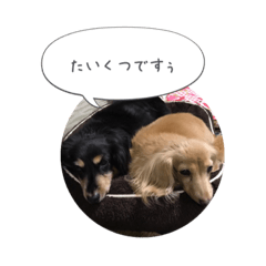 maron.komame&syun