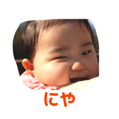 sarana_20260209114545