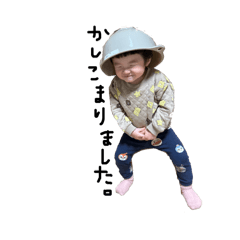 tomama_20260209123613