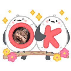 K_20260209124640
