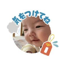 koara_20260209130055