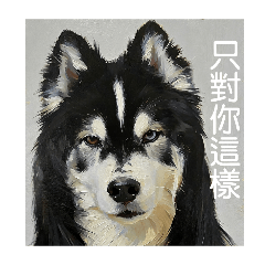 油彩小哈-深情小狗專用貼圖（哈士奇）