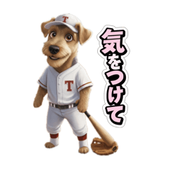 renshi_20260206214932