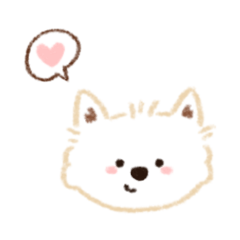 ૮( •ᴥ• )ა圓圓