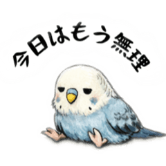 sora mi_20260208205530