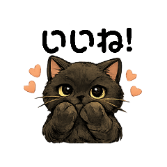 Shakura_20260209131526