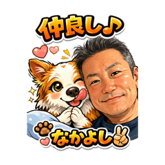 Border collie koharu