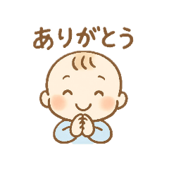 SHOKORA_20260209153820