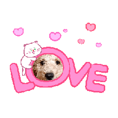 MANATAN_20260209220752