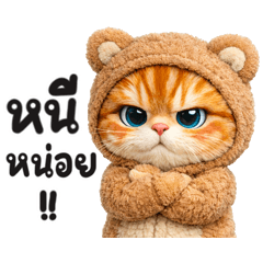 แมวใส่ชุดหมี