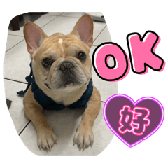 法鬥麻吉的可愛貼圖