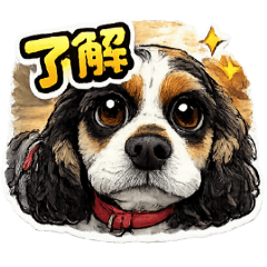 macaron_20260209164057