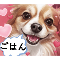 mizutani_20260209165355