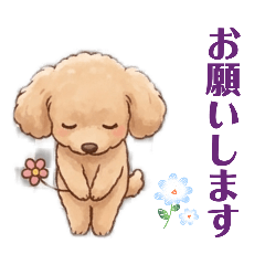 melon_20260209162317