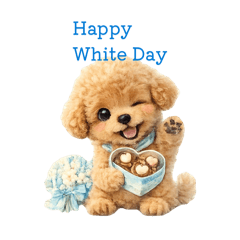 fumio_20260209161740