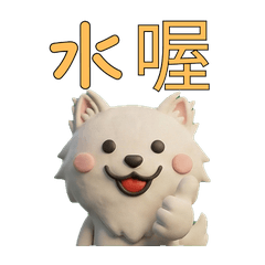 แมวชานทิลลี ภาษาไต้หวัน  39