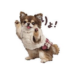 mikio_20260208152430