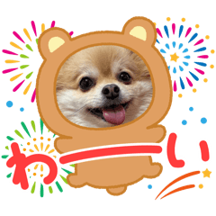 honda_20260208220656