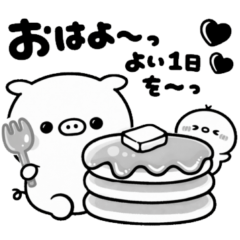 MONOKURO pokochan pig