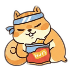 HACHI_20260209102505