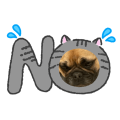 omocchi_20260209203532