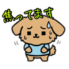 Nicosuki_20260209202508