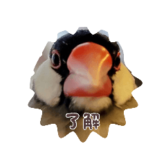 iku_20260208195039